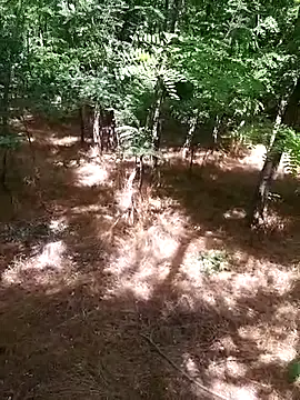 sile47 online show from 07/07/26, 12:20