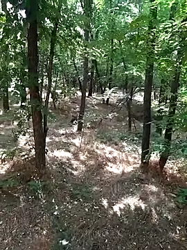 sile47 online show from 07/19/26, 10:52