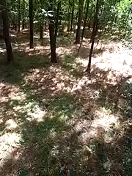 sile47 online show from 08/09/26, 10:53