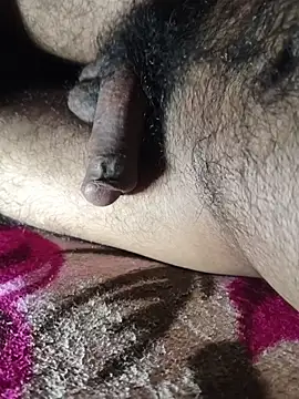 Mr skywalker online show from 02/04/26, 11:49