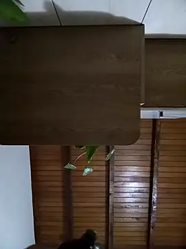 Sexi girl29 online show from 10/02/25, 09:16