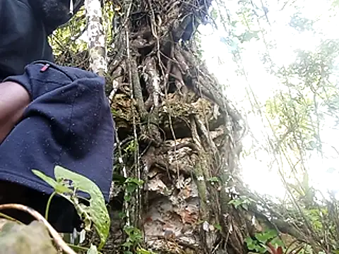 rasvinchi online show from 03/29/26, 11:54