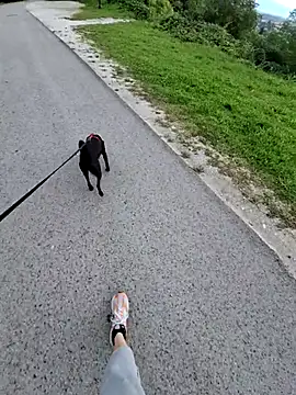 Snapshot of svenpfeifer chatting on 09/16/25, 06:58 svenpfeifer online show from 09/16/25, 06:58