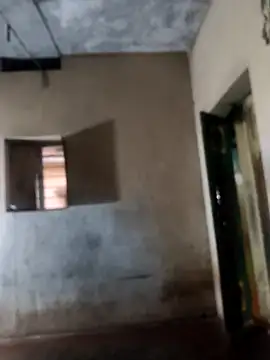 Snapshot of PolarFriend0 chatting on 02/17/26, 12:56 PolarFriend0 online show from 02/17/26, 12:56