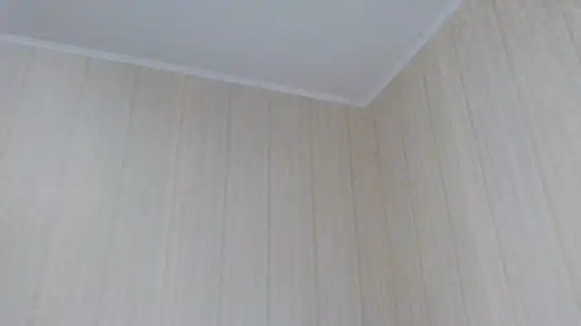  Black-Panther  online show from 10/02/25, 10:55