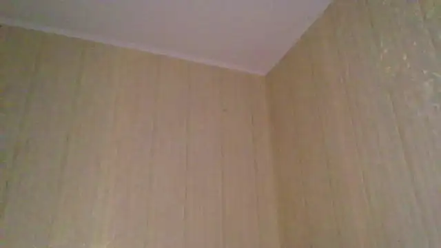  Black-Panther  online show from 11/12/25, 02:06