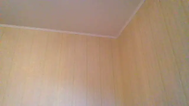 Snapshot of _Black-Panther_ chatting on 06/11/26, 04:05 Black-Panther online show from 06/11/26, 04:05
