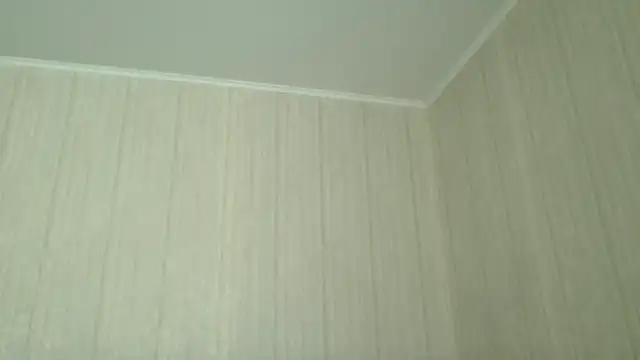 Snapshot of _Black-Panther_ chatting on 07/19/26, 10:19 Black-Panther online show from 07/19/26, 10:19