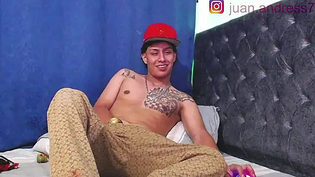 Stone grey1  online show from 02/20/26, 06:37