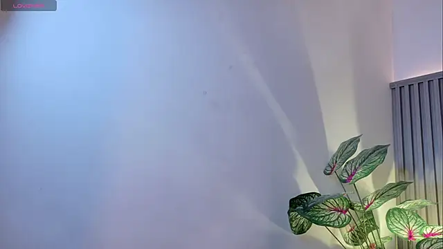 TiffanyWalk online show from 11/27/25, 11:34