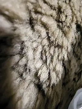 ikeike-kun online show from 12/02/25, 01:33