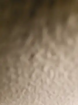 ikeike-kun online show from 04/08/26, 02:44