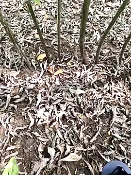 JAZZYS8 online show from 10/01/25, 07:47