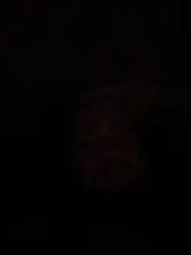 Bear2323 online show from 05/20/26, 04:07