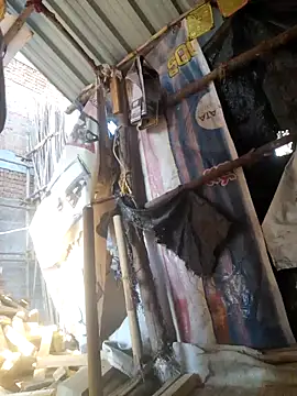 hot integer online show from 02/11/26, 11:26