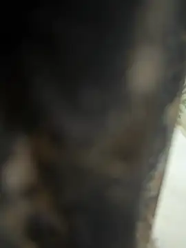 dilu98 online show from 02/21/26, 02:01