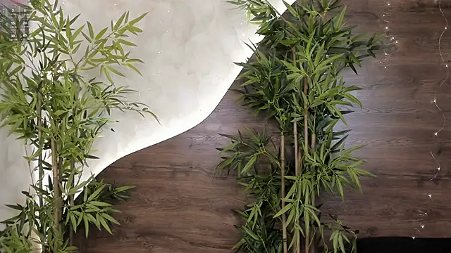 mia lacy  online show from 11/23/25, 07:57