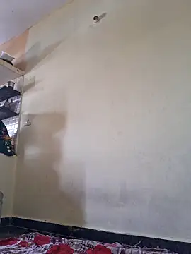 nipu 9 online show from 03/29/26, 08:03