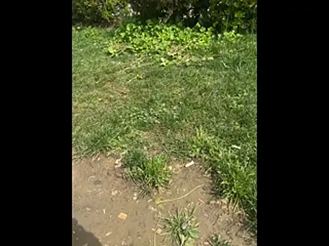 Snapshot of giyasbvnghkgkfk chatting on 04/03/26, 10:35 giyasbvnghkgkfk online show from 04/03/26, 10:35