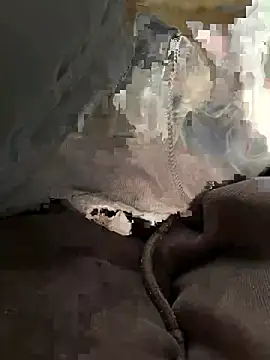 Snapshot of bambi_lu chatting on 03/05/26, 06:59 bambi lu online show from 03/05/26, 06:59