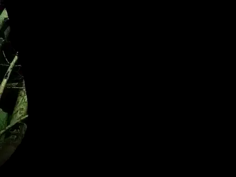 ConfidedAward online show from 09/13/25, 11:21