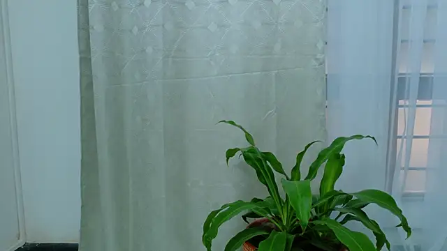 Snapshot of EbonyHorrny chatting on 09/15/25, 12:16 EbonyHorrny online show from 09/15/25, 12:16