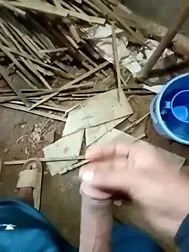 zim200 online show from 11/20/25, 06:35