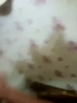 zim200 online show from 04/12/26, 05:56