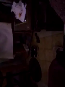 DannyRosarioxxx online show from 11/14/25, 06:28