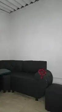 David tatto1 online show from 05/15/26, 11:45