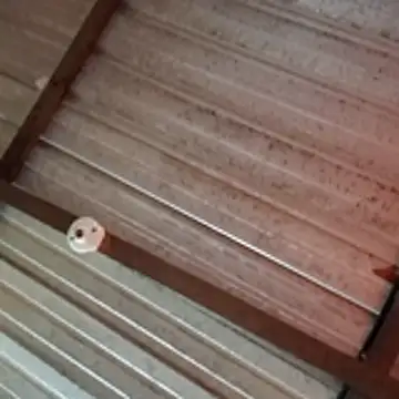 Ortiz3404 online show from 04/05/26, 02:58