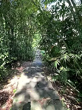 zack23088 online show from 10/18/25, 02:03