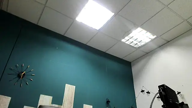 Ian1  online show from 11/22/25, 02:16