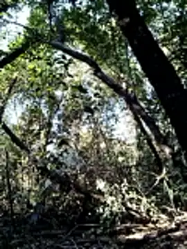 KalendaXL online show from 04/04/26, 02:47