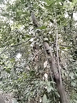 KalendaXL online show from 04/05/26, 04:15