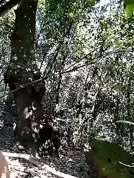 KalendaXL online show from 04/20/26, 11:57