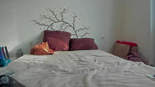 VellvetAnders online show from 02/01/26, 07:40