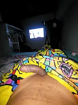 sexyboy fox online show from 01/17/26, 04:17