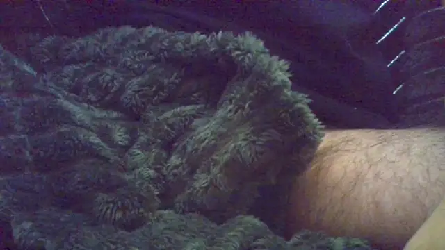 Snapshot of HairyHornyTwinkx chatting on 10/18/25, 08:04 HairyHornyTwinkx online show from 10/18/25, 08:04