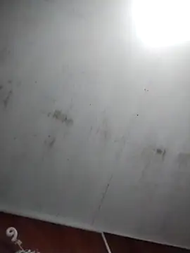 Yayo66 online show from 03/29/26, 12:32