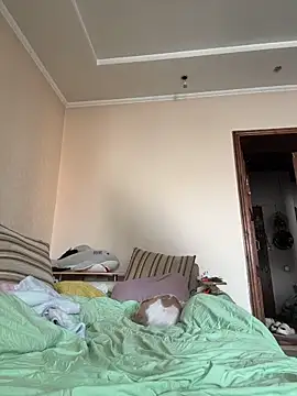 DollyTall online show from 03/19/26, 06:50