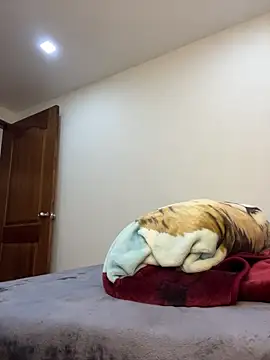 MaxDell online show from 03/20/26, 05:51