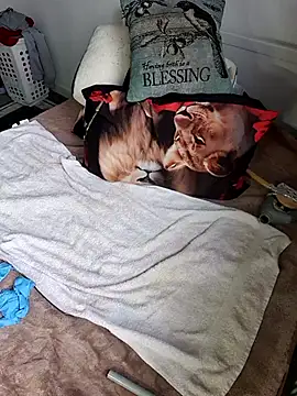 Wilsonn86 online show from 02/09/26, 08:29