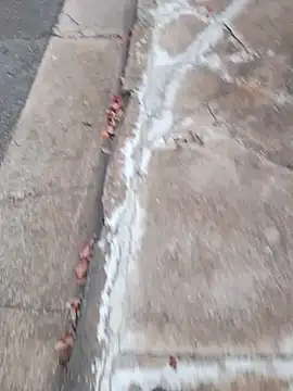 Snapshot of dickcurved38 chatting on 02/20/26, 04:53 dickcurved38 online show from 02/20/26, 04:53