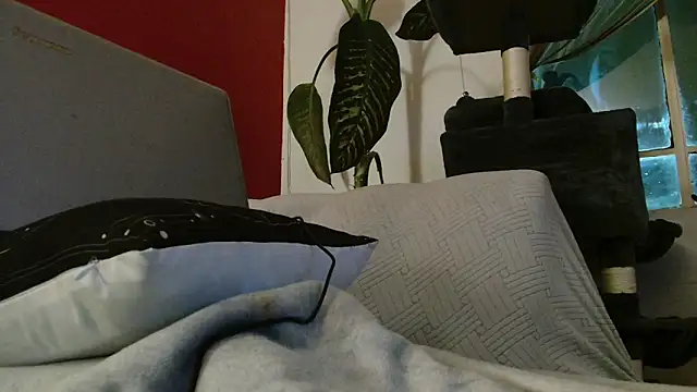 Tulindabonny online show from 03/06/26, 05:04