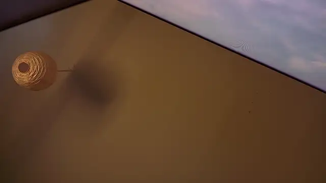 MasterDaddyCool online show from 01/08/26, 07:27