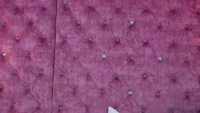 MaddisonBelucci online show from 11/22/25, 10:31