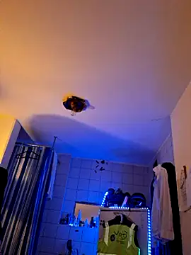 a7ex online show from 12/15/24, 02:30