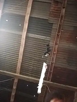 Snapshot of Davir2001 chatting on 03/01/26, 11:56 Davir2001 online show from 03/01/26, 11:56