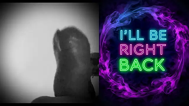 DjDiCKmannOnE online show from 01/12/26, 10:37